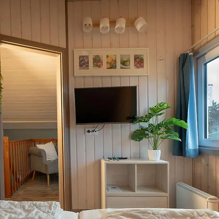 Ferienhaus Skandinavisches In Mirow Granzow